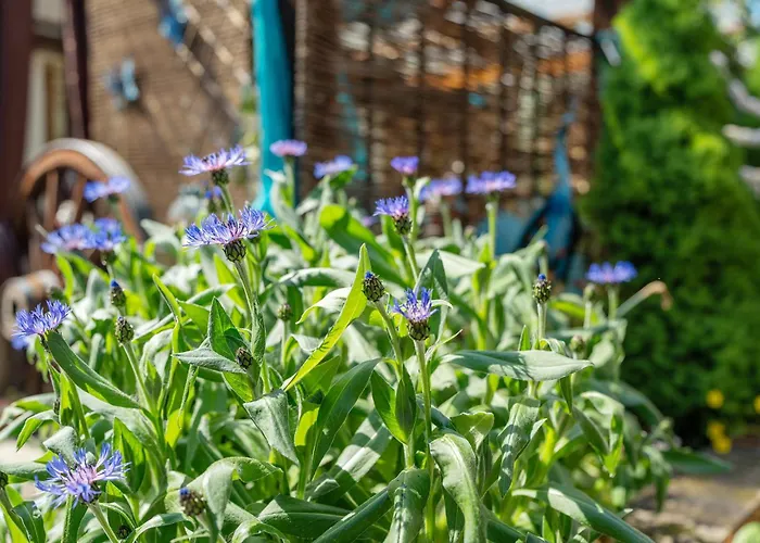 Alice Im Wunderland Эппинген